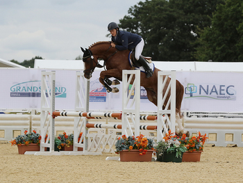 A new sponsor for the National 4 year old Championship at the British Showjumping National Championships